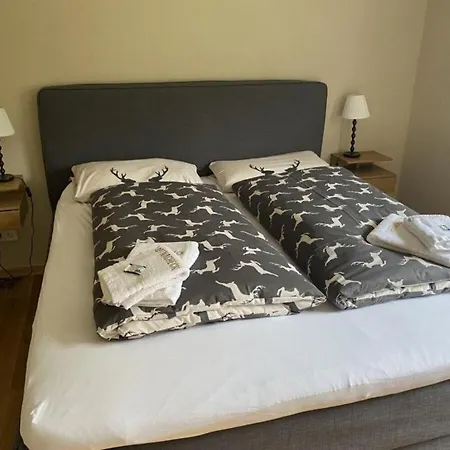 公寓 Partnacheck 加爾米施-帕滕基興